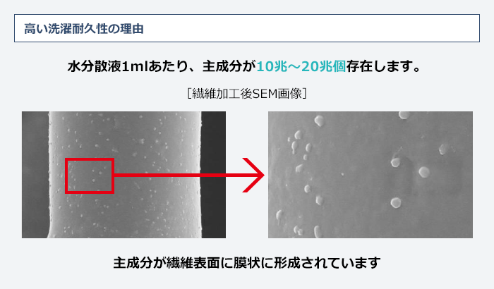 高い洗濯耐久性の理由