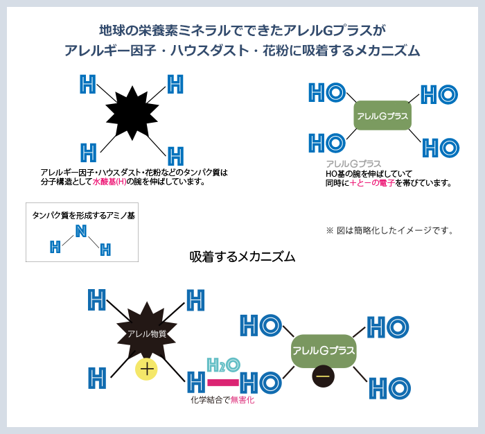 地球の栄養素ミネラルでできたアレルGプラスがアレルギー因子・ハウスダスト・花粉に吸着するメカニズム